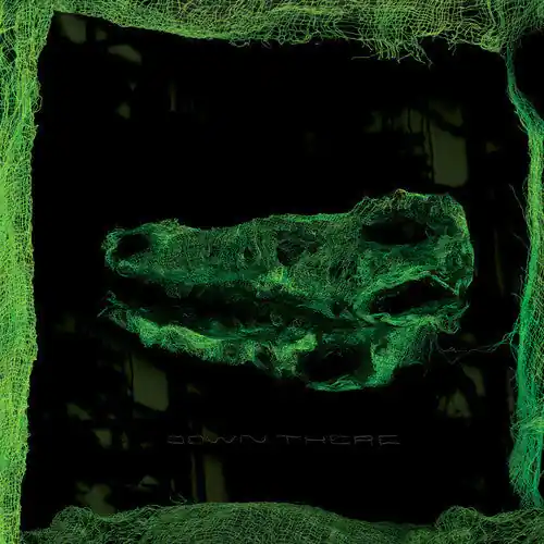 Fresh Stock Avey Tare - Down There - New Vinyl Record 2010 USA Paw Tracks with download / Animal Collective - Rock / Experimental / Electronic